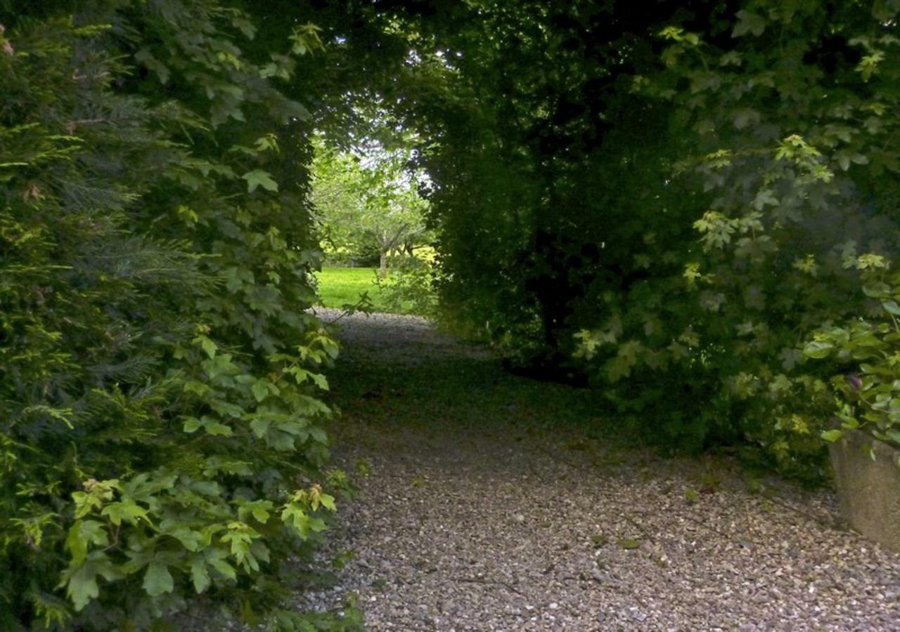 Logis De Chezelles Bed & Breakfast Sidiailles Bagian luar foto