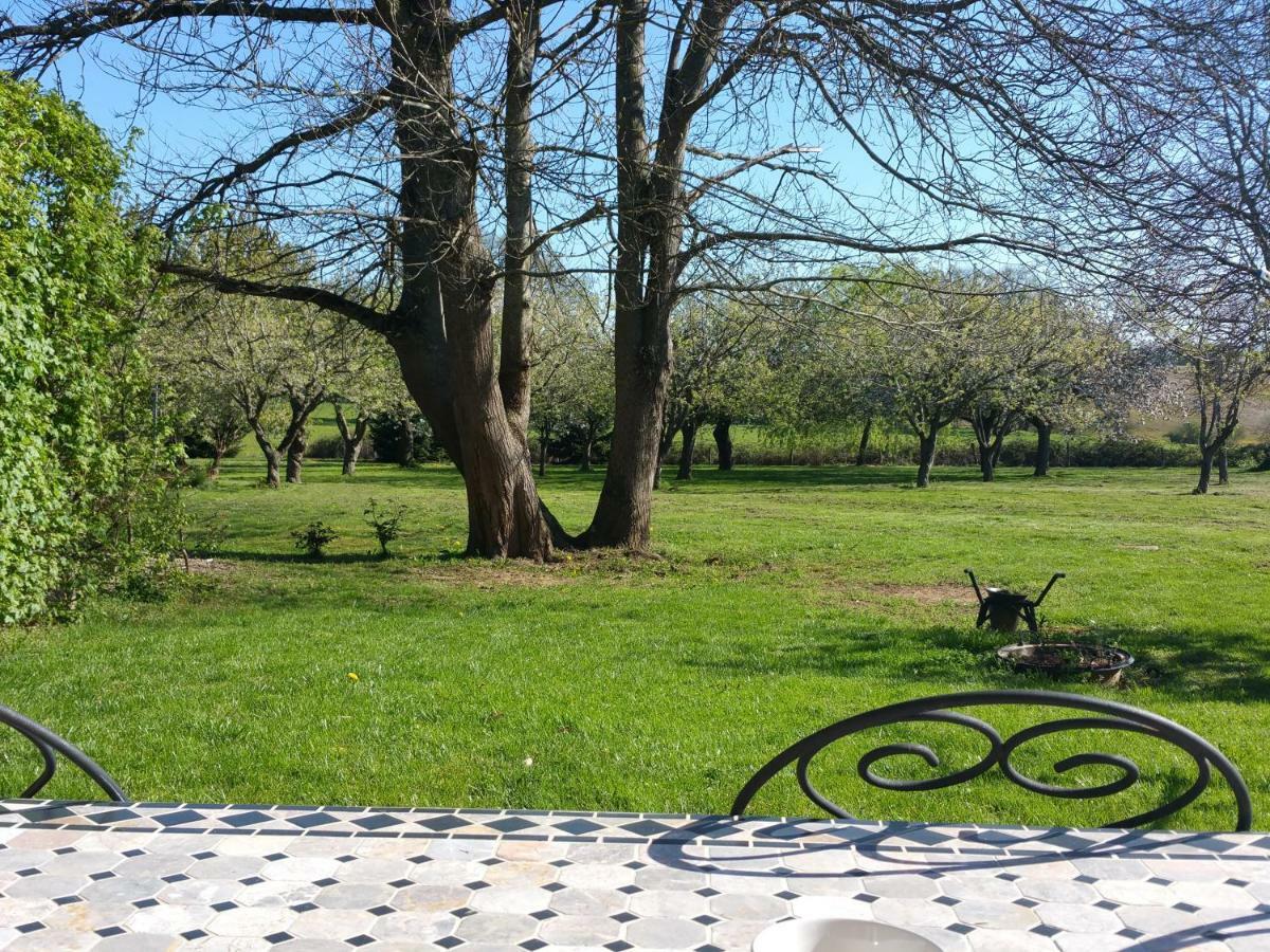 Logis De Chezelles Bed & Breakfast Sidiailles Bagian luar foto