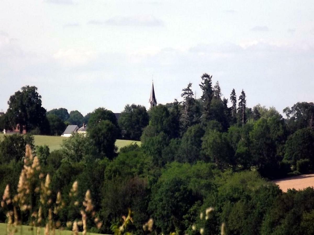 Logis De Chezelles Bed & Breakfast Sidiailles Bagian luar foto